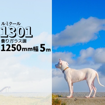 ガラスフィルム ルミクール 1301 曇りガラス調 幅 1250mm 長さ 5m 窓