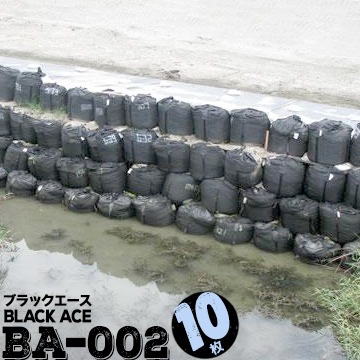 �֥�å������� �Ѹ��� �緿�ڤΤ� BA-002 1100�ա�1100H 10�� Ǯ�Ļ�� �ҳ� ���� ����� ���������α���
