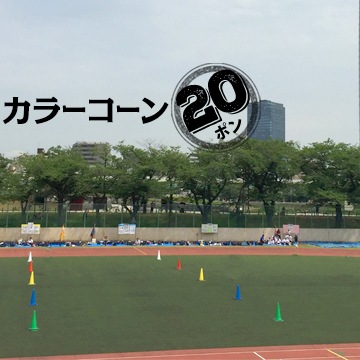 ���ѥ����� 700mm �� �� �� �� �� ����ե륳���� 20��