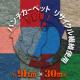�ɱ� �ѥ�������ڥå� ML400�ʥݥꥨ���ƥ뺮��ˡԸ�ȿ��91cm����30m����1�ܡ�