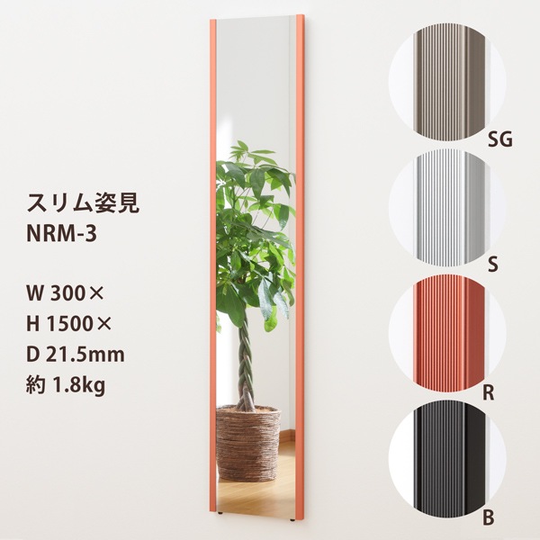 高級姿見 ミエミラー org.jpg