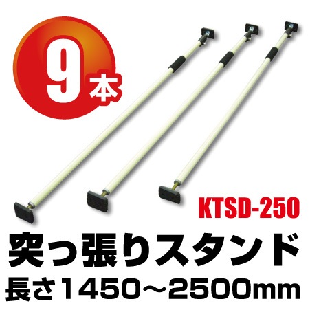 �ͤ�ĥ�ꥹ����� KTSD-250 ��9������