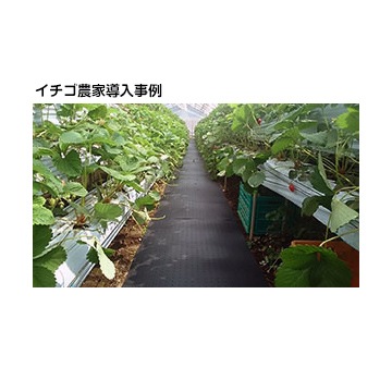 �������� ������ѥޥå�<br>���� 5mm<br>700mm��2000mm<br>20��<br><br>��ƻ�ޥå� ����ɻ� �̤���� ������ϩ ��ƻ����ޥå�