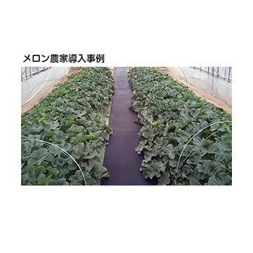�������� ������ѥޥå�<br>���� 7mm<br>350mm��2000mm<br>15��<br><br>��ƻ�ޥå� ����ɻ� �̤���� ������ϩ ��ƻ����ޥå�