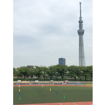 ���ѥ����� 700mm �� �� �� �� �� ����ե륳���� 10��