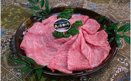 松浦食肉組合厳選A4ランク以上長崎和牛肩ロースしゃぶしゃぶ・すき焼き用500ｇ