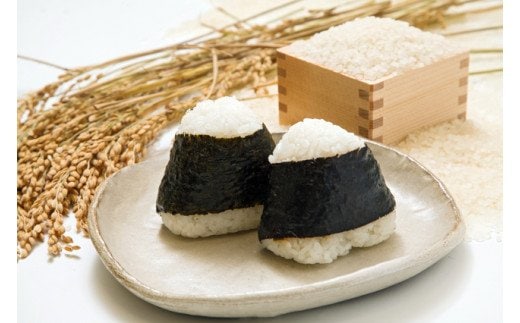 お弁当屋さんが太鼓判!棚田浮立の里のお米（夢しずく）10kg