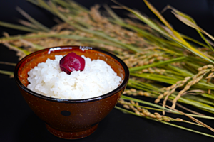 須藤邦寿園の白米 夢しずく5kg