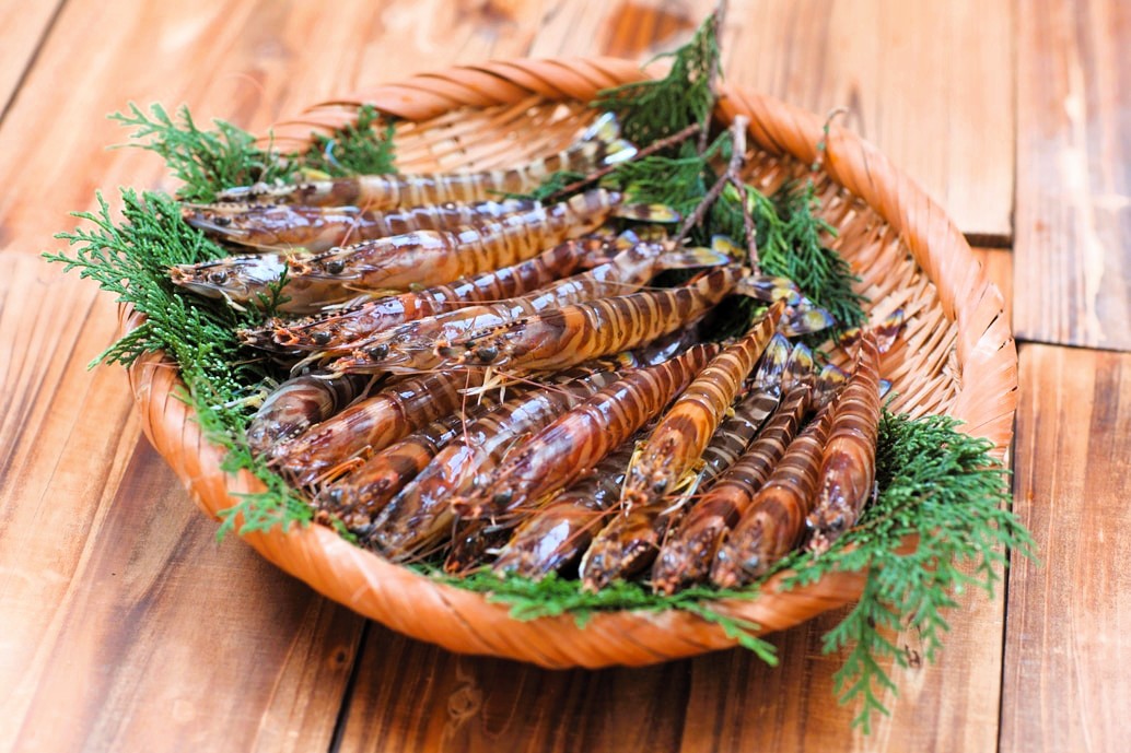 【12月1日～25日出荷】新松浦漁協 活きくるまえび 300g/500g/1kg