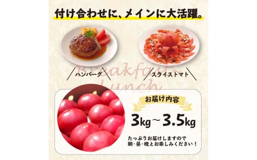 《期間限定》真っ赤なトマト3kg～3.5kg