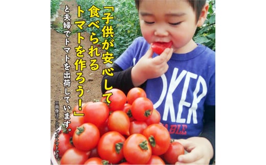 《期間限定》真っ赤なトマト3kg～3.5kg