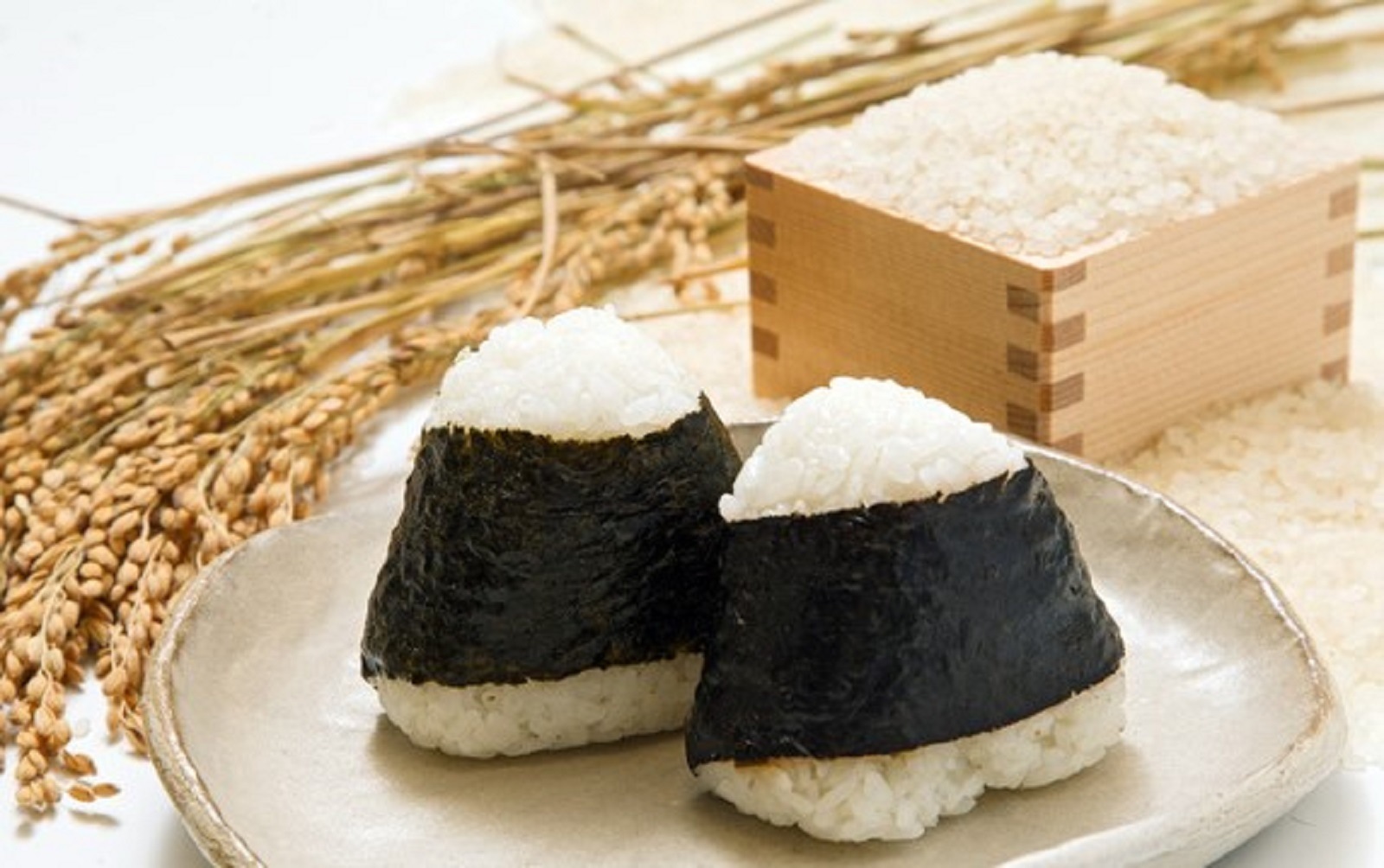 お弁当屋さんが太鼓判!棚田浮立の里のお米（夢しずく）10kg