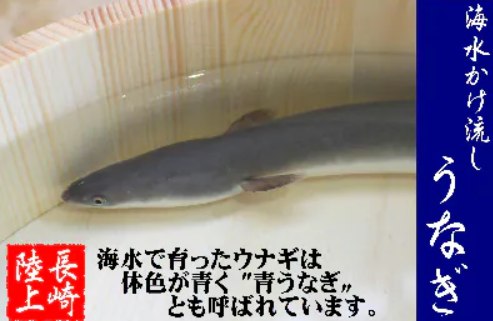 数量限定!海水かけ流しうなぎ蒲焼2尾