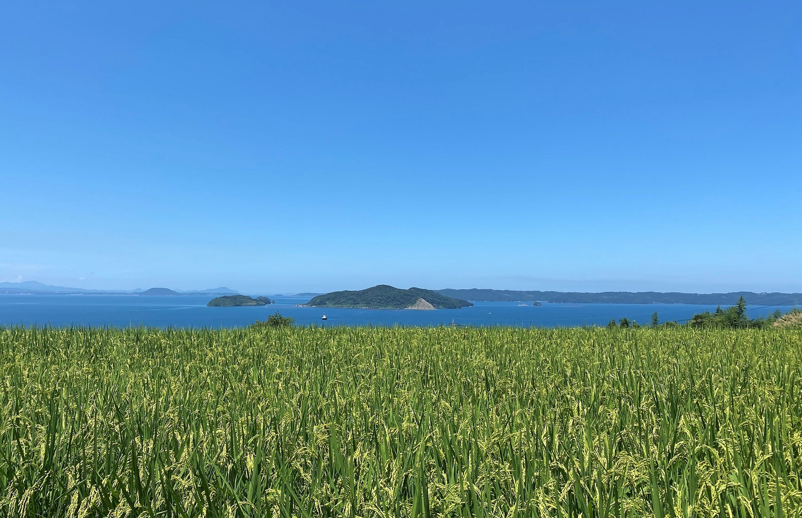 日本の棚田百選　土谷棚田米（コシヒカリ）5kg