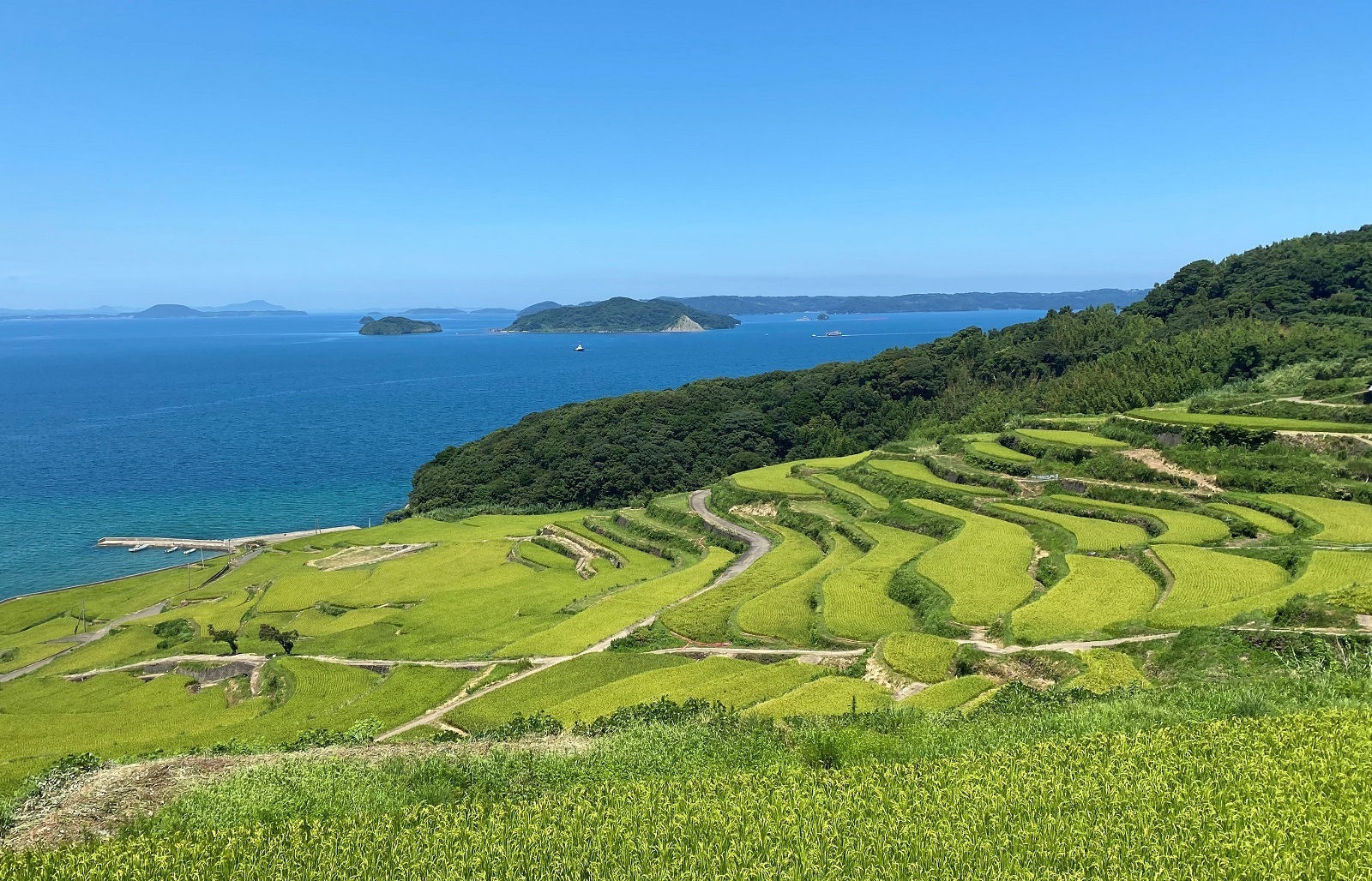 日本の棚田百選　土谷棚田米（コシヒカリ）5kg