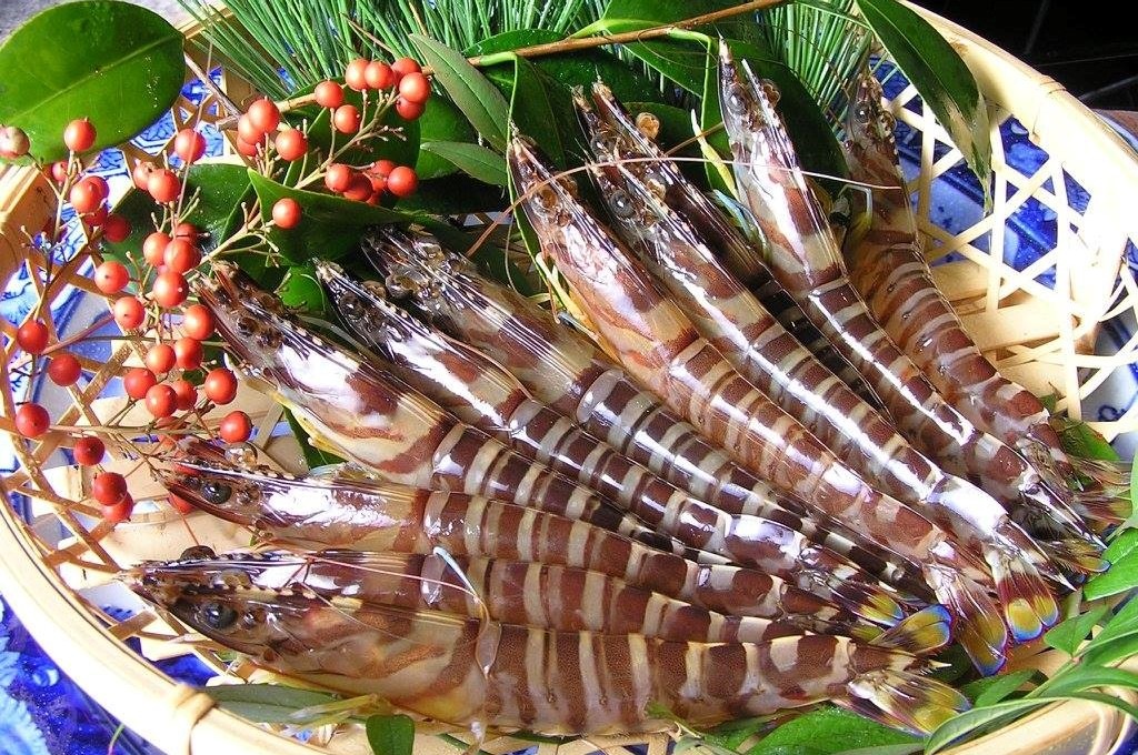 【12月25日～28日出荷】東興のくるまえび 400g/600g/800g/1kg