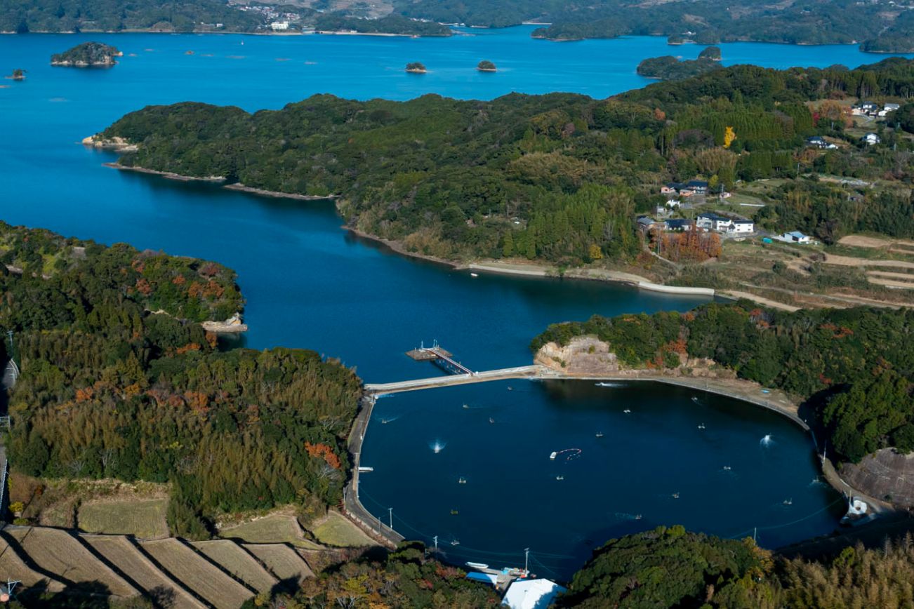 【12月25日～28日出荷】東興のくるまえび 400g/600g/800g/1kg