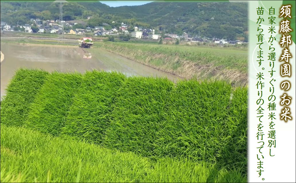 須藤邦寿園の白米 夢しずく5kg