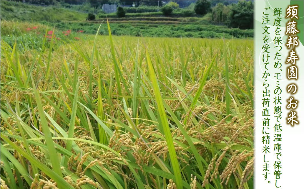 須藤邦寿園の白米 夢しずく5kg