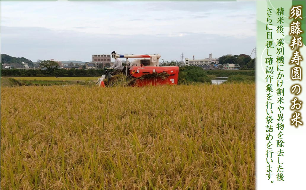 須藤邦寿園の白米 夢しずく5kg