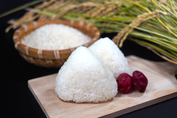 須藤邦寿園の白米 コシヒカリ5kg