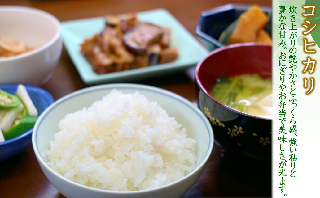 須藤邦寿園の白米 コシヒカリ5kg