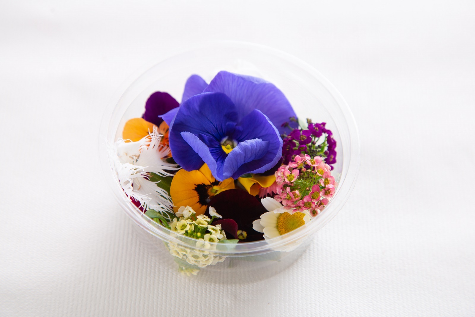 食べられる綺麗なお花 エディブルフラワー