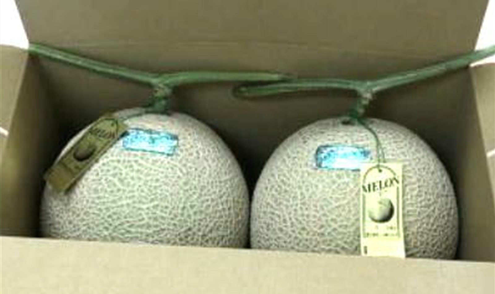 大玉アールスメロン　夢メロン２玉入り（1玉1.6ｋｇ以上）