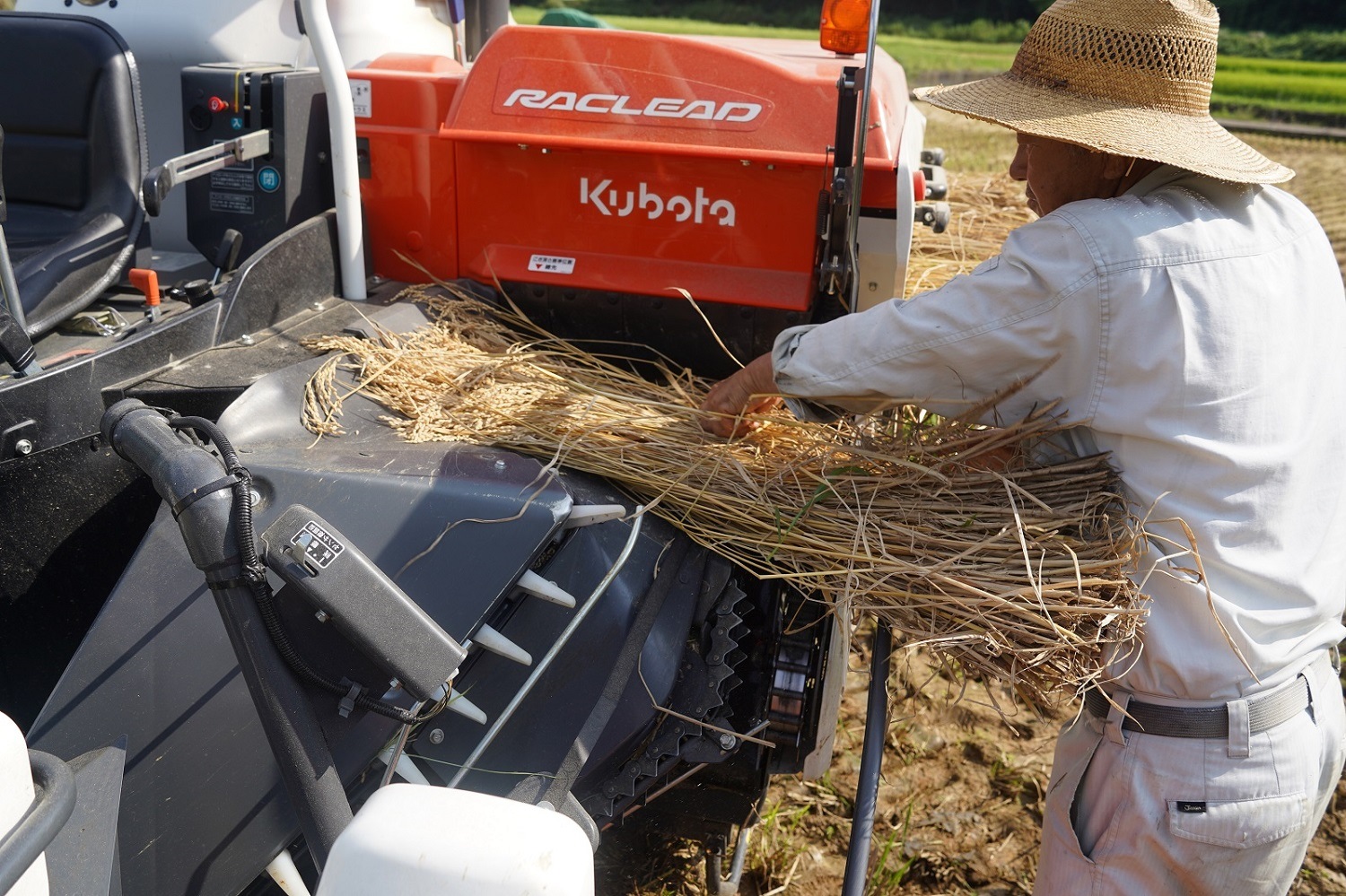 つづら水源の森を流れる水が育む松浦の米　「ヒノヒカリ又はコシヒカリ」石倉の誉5kg