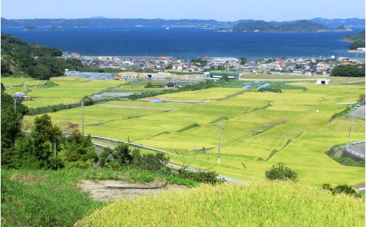 つづら水源の森を流れる水が育む松浦の米　「ヒノヒカリ又はコシヒカリ」石倉の誉5kg