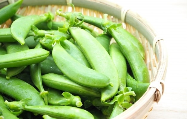 《期間限定》みずみずしさ弾ける！鷹島のスナップエンドウ1kg