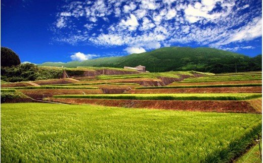 つづら水源の森を流れる水が育む松浦の米 「夢しずく」葛籠の神秘5kg