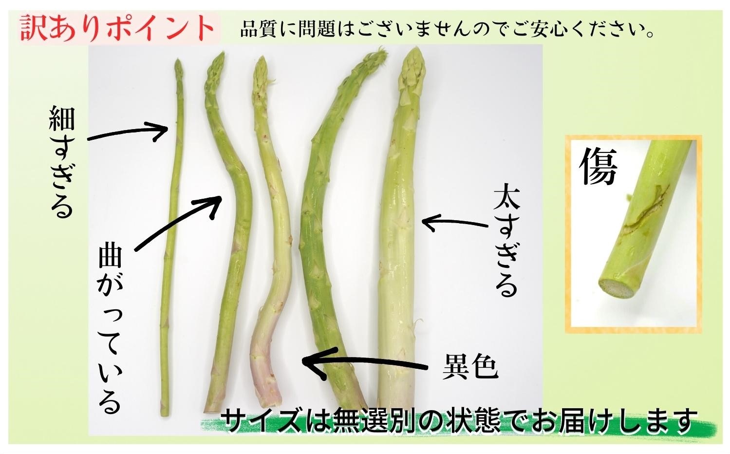 訳ありご家庭用に大活躍！僕とじいちゃんのアスパラガス2kg