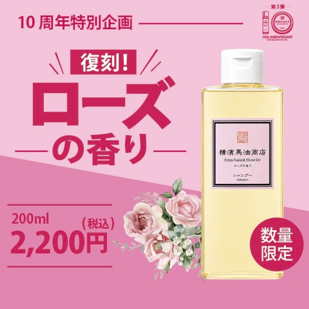 �ڿ��̸���ۤ����������ʥ����륷���ס����������ι��