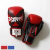 XS-001 XSTREAM1 ��������