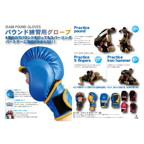 IS-756 �ѥ���ɥ�������