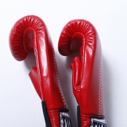 BX-2J �ѥ���󥰥������֥��åȥե��󥬡���S��������