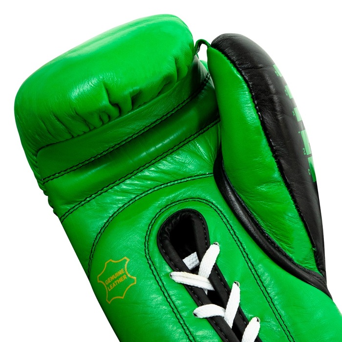 TITLE WBC Pro Fight Leather Gloves 新商品 格闘技プロショップ 横浜イサミ