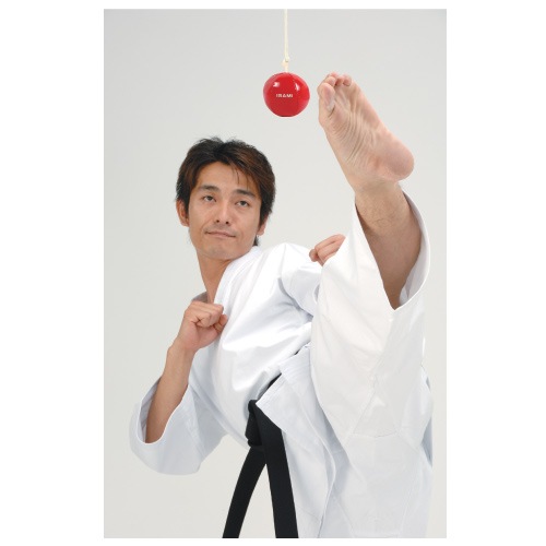 SS-86 ���å��ܡ���