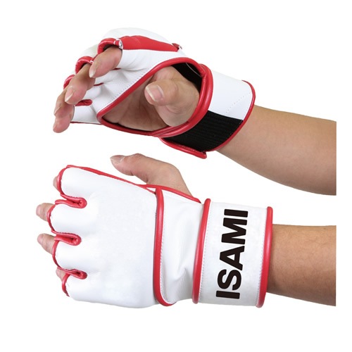 IS-770 �����ץ�ե��󥬡������å���֥�