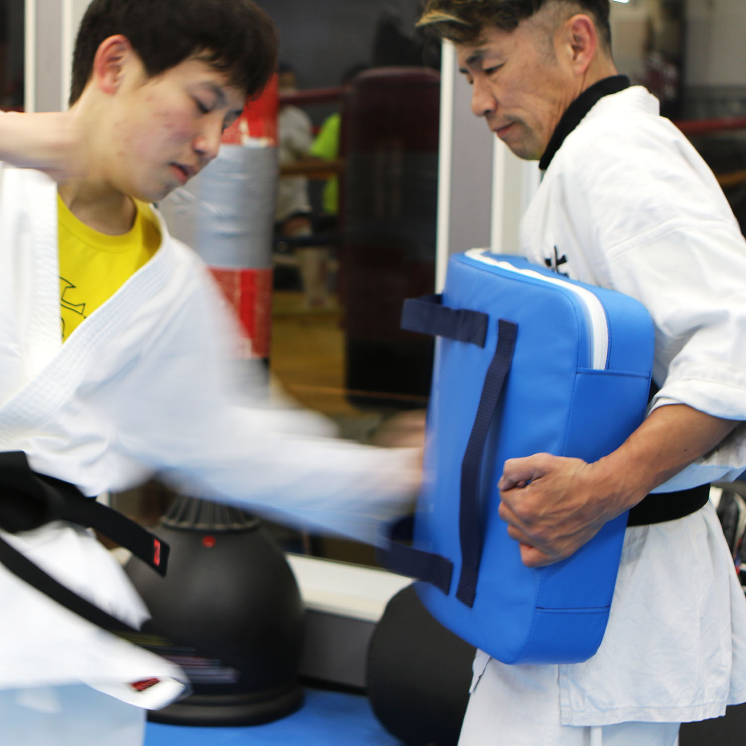 SD-820 �ޥ��֥롼�ߥå�LL