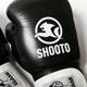 SHO-15 SHOOTOܥ󥰥