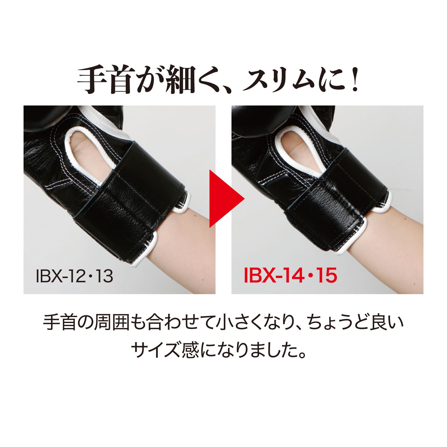 IBX-14ܥ ǥ(ޥåơ׼)