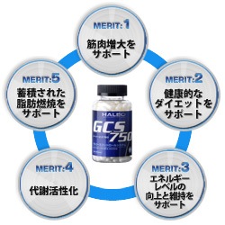 GCS750�ʥ�����������750��