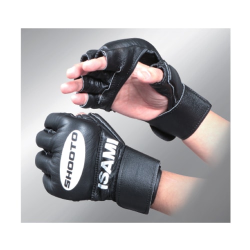 SHO-4�����ͥ�������