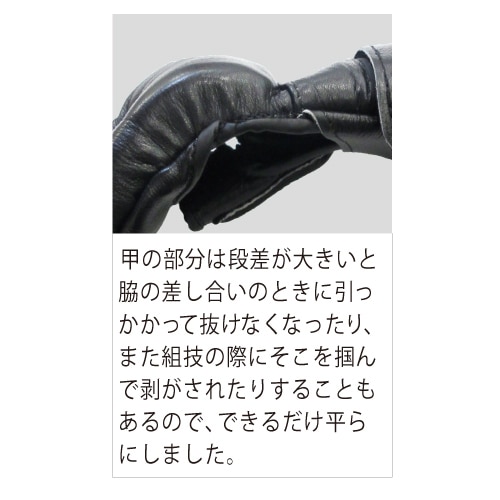 SHO-4�����ͥ�������