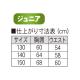 IS-700J ����˥����󥰥�å�