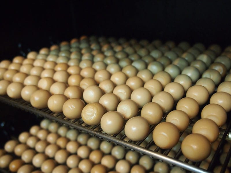 ��������������