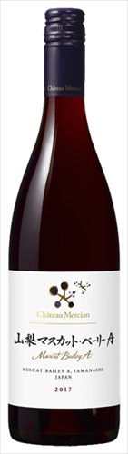 ¥·¥ã¥È¡¼¥á¥ë¥·¥ã¥ó¡¡»³Íü¥Þ¥¹¥«¥Ã¥È¥Ù¥ê¡¼£Á