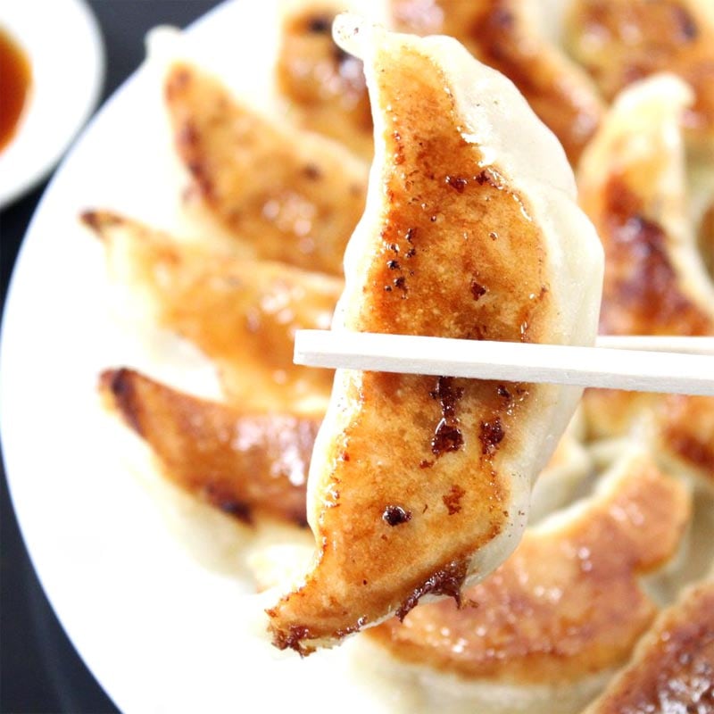 おおみやジャンボ餃子のお取り寄せ・通販 | 餃子のヨコミゾWEB本店